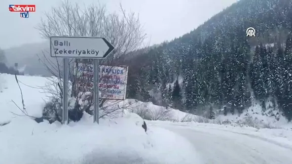Artvin'de 3 çoban çığ altında kaldı - VİDEO