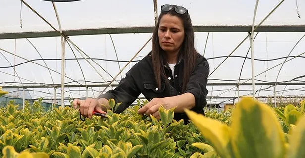 Süs bitkisi üreten genç kadın çiftçi ihracata odaklandı!