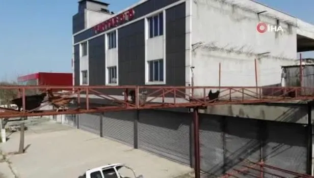 İnsanlar bile kullanmazken tavukları için üst geçit yaptı