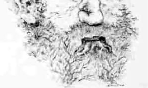 adamin-suretinde-saklanan-kizi-sadece-iqsu-yuksek-olanlar-8-saniyede-buluyor-1696577551706.jpg Adamın suretindeki saklanan kızı bulabilir misin? Sadece IQ'su yüksek olanlar 8 saniyede buluyor-4