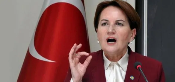 ESKİ MHP MİLLETVEKİLİ MERAL AKŞENER PARTİSİNDEN İHRAÇ EDİLDİ