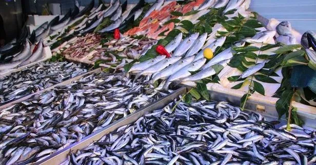 5 Mayıs balık fiyatları ne kadar? İstanbul Balık Hali güncel fiyat listesi! Dip, pelajik, iç balık, diğer deniz ürünleri kaç TL’den satılıyor?