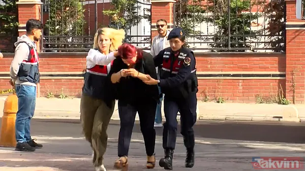 Yenidoğan çetesinin elebaşı Fırat Sarı'nın skandalları: Aileler yanarken o saç ektiriyormuş! Sicilinden terör çıktı | İşte ifadesi - 29