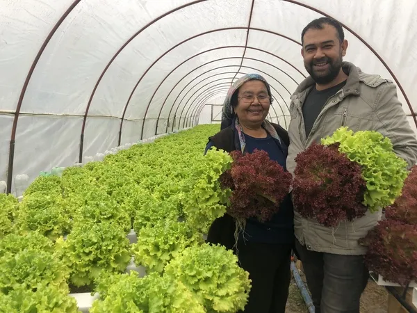 en-az-28-bin-tl-kazanmak-mumkun-istanbulda-memurluktan-istifa-eden-suleyman-dal-adana-kozanda-topraksiz-marul-1643630532927.jpg En az 28 bin TL kazanmak mümkün! İstanbul'da memurluktan istifa eden Süleyman Dal Adana Kozan'da topraksız marul üretimine başladı-2