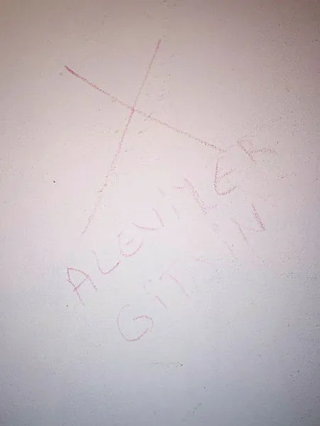 Bu ayıbın sahibi komşuları çıktı!-3