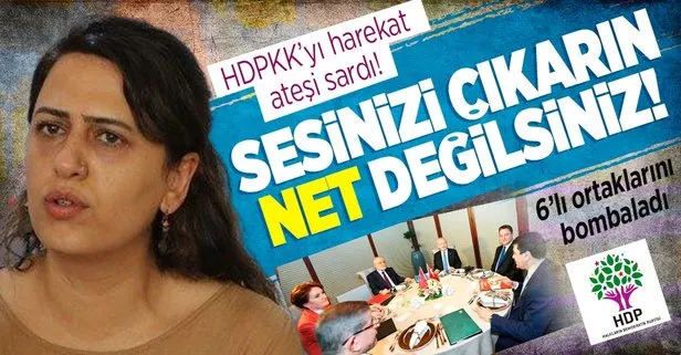 Harekat öncesi PKK ve HDP tutuşmuş vaziyette! 6’lı masaya ’sesinizi çıkarın, net değilsiniz’ tepkisi