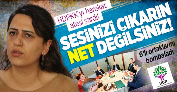 Harekat öncesi PKK ve HDP tutuşmuş vaziyette! 6'lı masaya 'sesinizi çıkarın, net değilsiniz' tepkisi