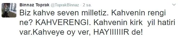 CHP'li Binnaz Toprak alay konusu oldu - 1
