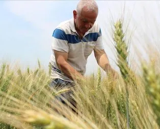 Bakan Pakdemirli duyurdu: Çiftçilere 374 milyon lira destek ödemesi yapıldı