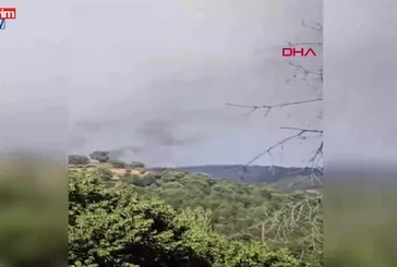 Sındırgı'da orman yangını!
