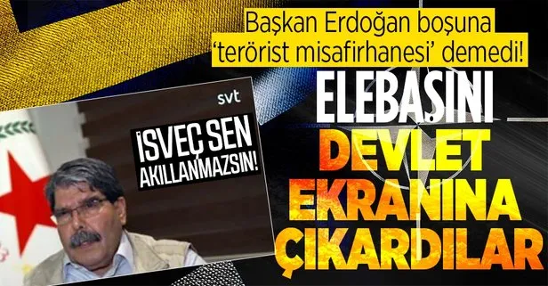 İsveç devlet televizyonu YPG/PKK’nın ele başlarından Müslim ile röportaj yaptı!