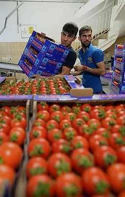 Ruslardan talep patlaması