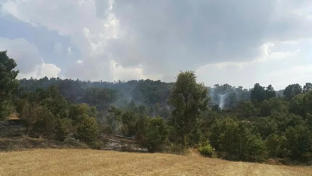 Uşak'ta orman yangını - 1