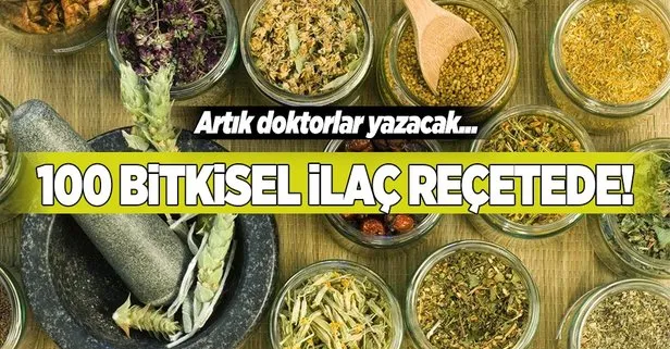 100 Bitkisel Ilac Artik Recetede Takvim