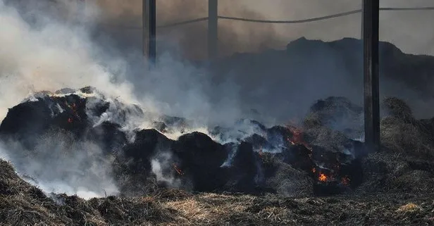 Gaziantep’te hayvan çiftliğindeki yangında 300 ton saman ve 100 ton yonca kül oldu
