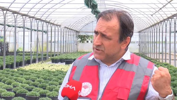 istanbuldaki-deniz-gol-ve-barajlarda-balik-ve-yengec-olumlerinin-nedeni-belli-oldu-kirlilik-oksijenin-azalmasi-1628238929478.jpg İstanbul'daki deniz göl ve barajlarda balık ve yengeç ölümlerinin nedeni belli oldu! Kirlilik-oksijenin azalması-2