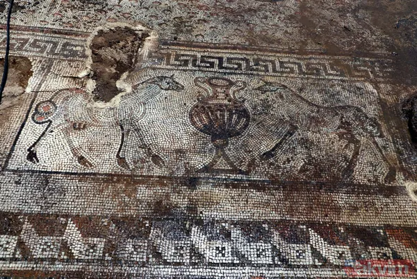 Kaçak kazıda bulunan mozaikler 98 parçaya bölünerek Zeugma Mozaik Müzesi'ne taşınıyor - 8