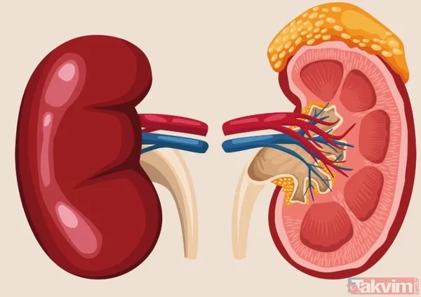 43 yaşındaki 3 çocuk babası Paul Souter'ın spor sakatlığı sandığı sırt ağrısı böbrek kanseri çıktı - 8