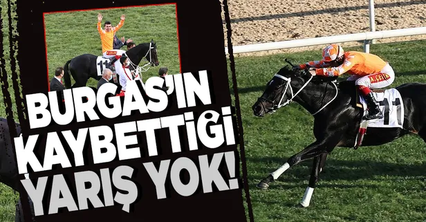 35 yıl sonra tarihe geçti! Cumhurbaşkanlığı Koşusu birincisi olan Burgas fırtına gibi esiyor