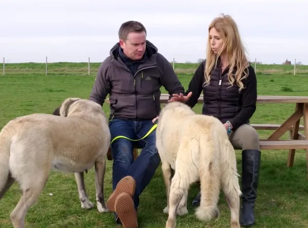 Rus asıllı İngiliz belgeselci Anneka Svenska, Kangallar'ı inceledi-1