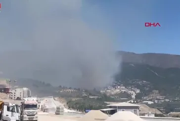 Antakya'da orman yangını!
