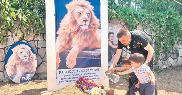 Saldırının ardından vurulan Zeus’a duygusal veda