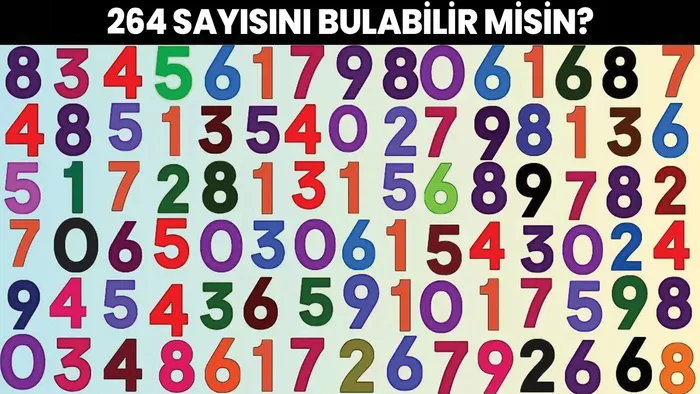 yapboz-iq-testi-yalnizca-dedektif-beyinler-264-sayisini-10-saniyede-tespit-edebilir-1701186847311.jpg