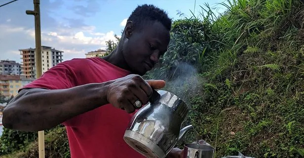 Senegalli işçiler, çay toplamayı internetten öğrenmiş