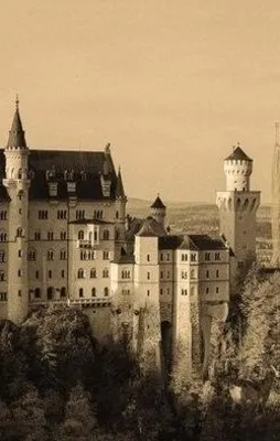 60 saniyede kimse bunu çözemiyor!