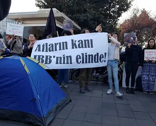 İBB önünde sözünü tut protestosu! İmamoğluna hayvanseverlerden tepki: Zulüm son bulsun