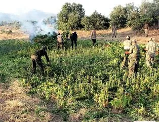 Lice'de terör örgütüne büyük darbe