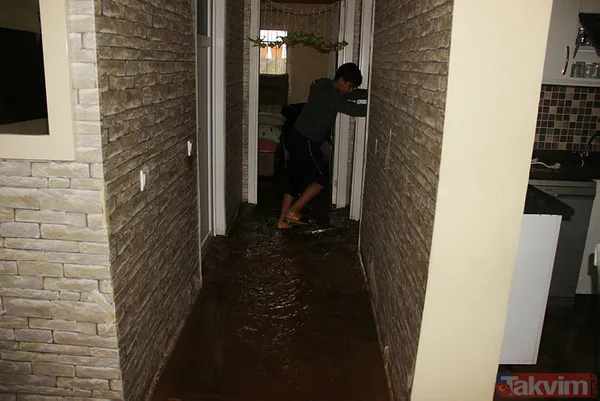 Muğla Bodrum'da hep aynı manzara! Evleri su bastı, sokak hayvanları boğuldu - 13