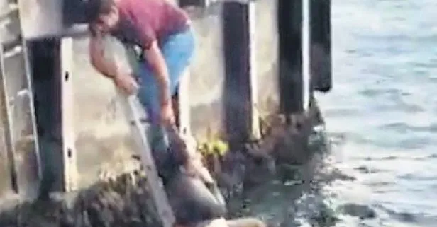 Galata Köprüsü’nden denize atlayan yabancı uyruklu kadını, turist kurtardı