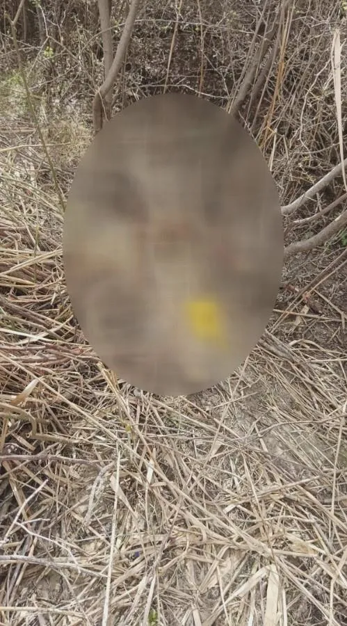 Ankara’da kan donduran olay! Kafası koparılmış 45 günlük ceset bulundu-4