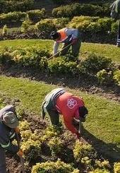 İBB'den aynı işe iki kere ödeme! 3,5 milyarlık kamu zararı!