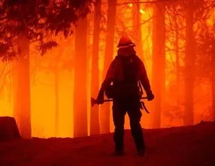 California’daki orman yangınlarında bu yıl rekor düzeyde alan yandı