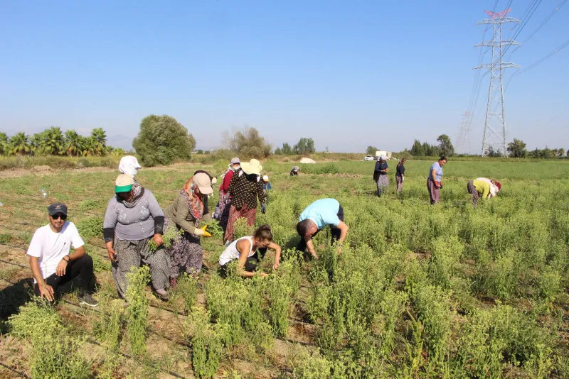 17 yıllık mesleğini bıraktı, servetine servet kattı - 6