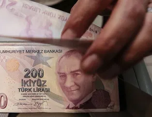 e-Devlet'ten başvuran 100 bin liralık geri ödemeli destek alıyor! İşletmeler 24 ay boyunca ödeme yapmayacak