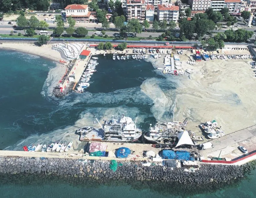 Dalga dalga yayılıyor