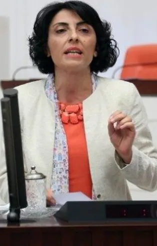 CHP'li Nurhayat Altaca Kayışoğlu'ndan darbe çığırtkanlığı