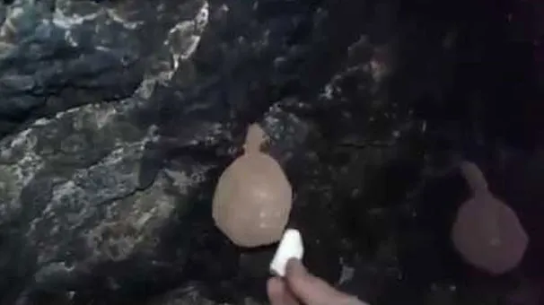 İran'da başladı Türkiye'ye yayıldı! Duyan o mağaralara koştu-4