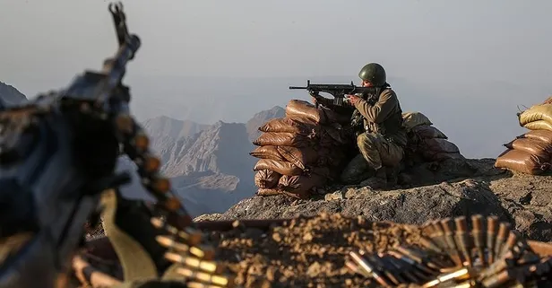 SON DAKİKA: Milli Savunma Bakanlığı: Barış Pınarı ve Fırat Kalkanı bölgelerinde 5 terörist öldürüldü