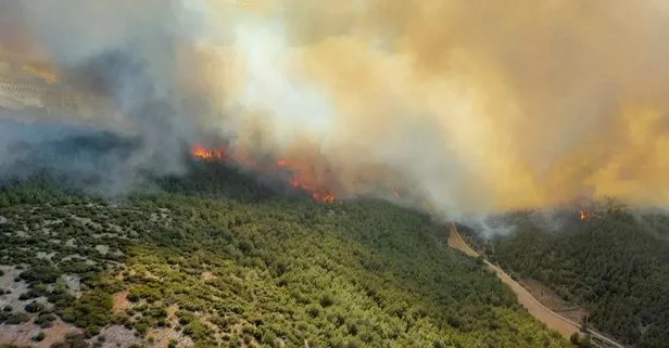 Manisa Akhisar’da orman yangını! Havadan ve karadan müdahale sürüyor