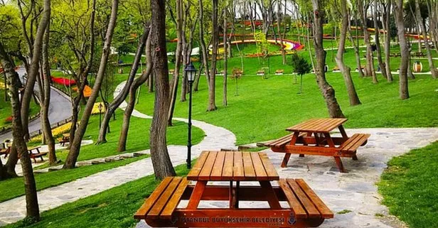 Piknik yapmak bugün yasak mı? İstanbul, Ankara, İzmir’de ormanlık alanlarda piknik, mangal yasak mı?