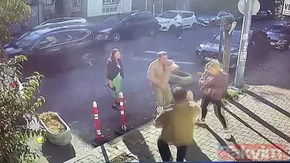 İstanbul’da kedisinin tıraşını beğenmeyen kadın veteriner teknikerine saldırdı