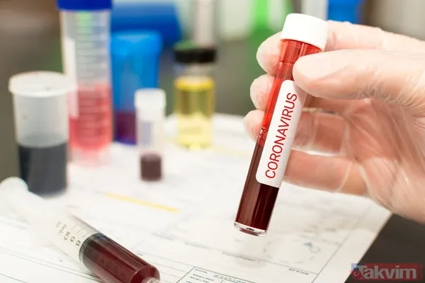 Bilim insanları açıkladı! İşte ilk günden son güne kadar koronavirüs belirtileri - 2