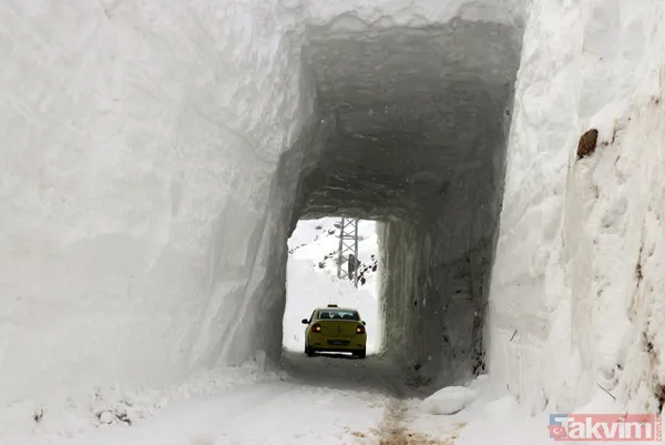 Ağrı'da çığ düşen köy yolunda ulaşım "kardan tünel" ile sağlanıyor - 9