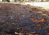 Giresunda felaket: Sel sonrası denizin yüzeyini kapladı!