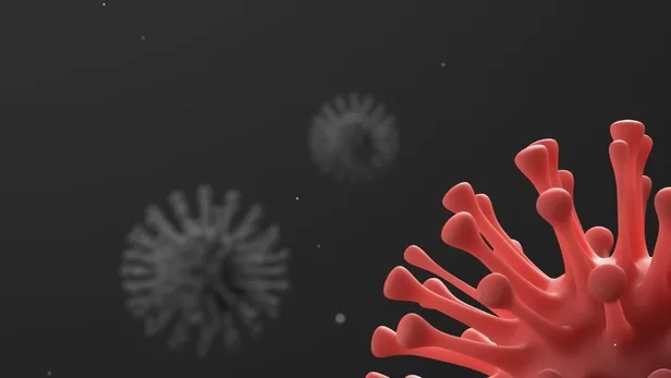 koronavirus-belirtilerine-bir-yenisi-daha-eklendi-resmi-olarak-aciklandi-1589804529254.jpeg Koronavirüsün yeni belirtisi onaylandı! Resmi olarak açıklandı...-1