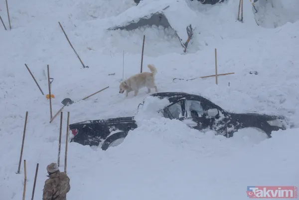 Son dakika: Van'da yeni çığ faciası! Çok sayıda şehit ve yaralı var - 4